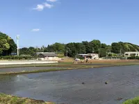 野々下水辺公園の写真・動画_image_319454