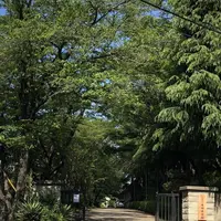 野々下水辺公園の写真・動画_image_319458
