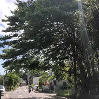 野々下水辺公園の写真・動画_image_319459