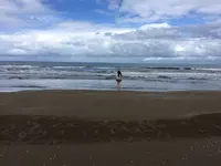 千里浜なぎさドライブウェイの写真・動画_image_319505