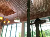 メキシコの写真・動画_image_319509