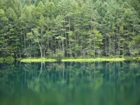 御射鹿池の写真・動画_image_319513