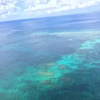 三角点の写真・動画_image_319524