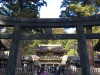日光東照宮の写真・動画_image_319534