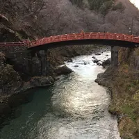 日光東照宮の写真・動画_image_319537