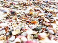 吉佐美大浜海水浴場の写真・動画_image_319540