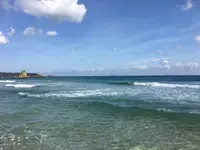 吉佐美大浜海水浴場の写真・動画_image_319547
