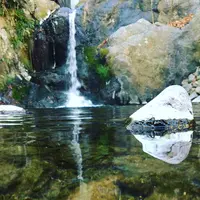 鳩ノ巣渓谷の写真・動画_image_319663