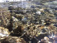 鳩ノ巣渓谷の写真・動画_image_319664
