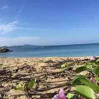 名護湾の写真・動画_image_319692