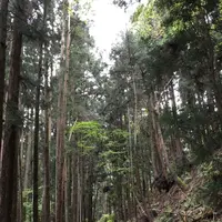 煤ヶ谷の写真・動画_image_319697