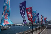 沼津魚市場食堂の写真・動画_image_319810