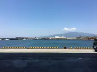 沼津魚市場食堂の写真・動画_image_319814