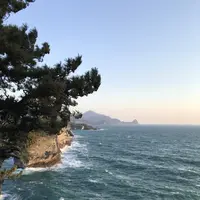 堂ヶ島遊步道の写真・動画_image_319821