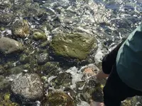 三四郎島の写真・動画_image_319849