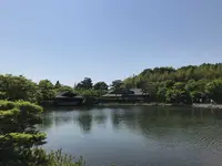 国営昭和記念公園の写真・動画_image_319852