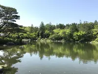 国営昭和記念公園の写真・動画_image_319854