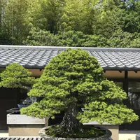 国営昭和記念公園の写真・動画_image_319869