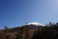 富士スバルライン五合目の写真・動画_image_319893