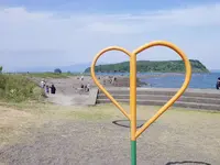 知林ケ島の写真・動画_image_320100