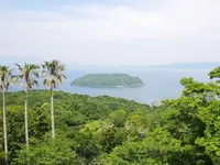 知林ケ島の写真・動画_image_320101