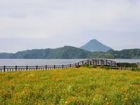池田湖の写真・動画_image_320154