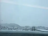 渡り温泉 ホテルさつき・別邸楓の写真・動画_image_320220