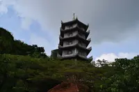 五行山の写真・動画_image_320272