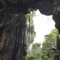 五行山の写真・動画_image_320277