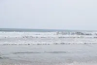 ミーケービーチの写真・動画_image_320284