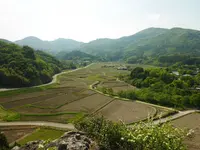 田染荘の写真・動画_image_320309