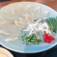 角島大橋 (つのしまおおはし)の写真・動画_image_320316