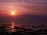 御輿来海岸の写真・動画_image_320338