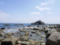 志賀島の写真・動画_image_320348