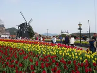 ハウステンボスの写真・動画_image_320362