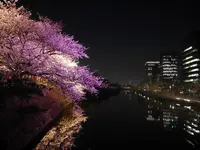 舞鶴公園の写真・動画_image_320368