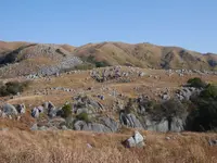 平尾台の写真・動画_image_320406