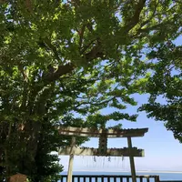 志賀島の写真・動画_image_320420