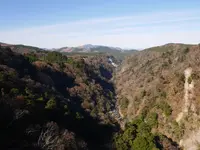 九重“夢”大吊橋の写真・動画_image_320432