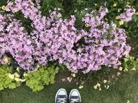 はままつフラワーパークの写真・動画_image_320451