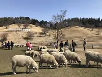 伊香保グリーン牧場の写真・動画_image_320464