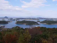 天草五橋の写真・動画_image_320471