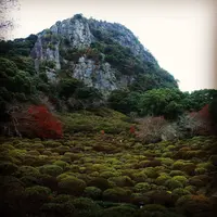 御船山楽園の写真・動画_image_320481