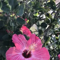 ANAインターコンチネンタル万座ビーチリゾート ダイビングセンターの写真・動画_image_320486