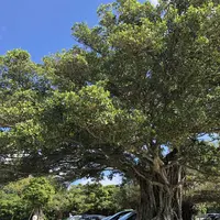 ANAインターコンチネンタル万座ビーチリゾート ダイビングセンターの写真・動画_image_320492