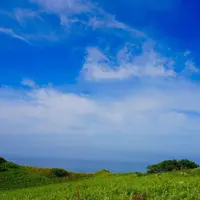 神威岬の写真・動画_image_320541