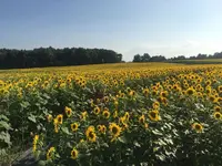 神威岬の写真・動画_image_320543