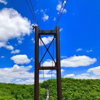 星のブランコの写真・動画_image_320557