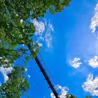 星のブランコの写真・動画_image_320560