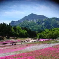 羊山公園の写真・動画_image_320616